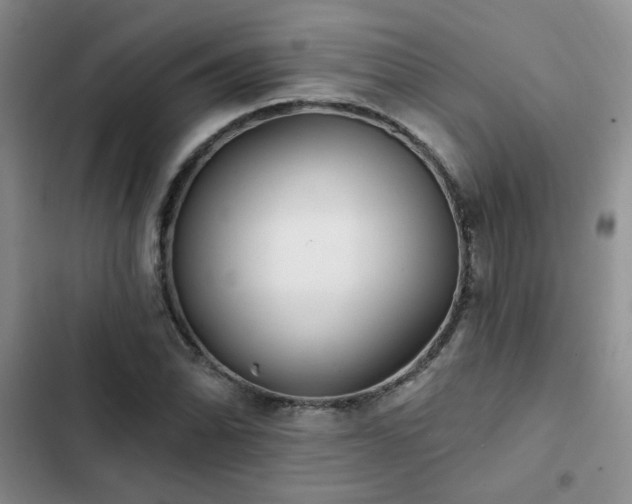 X0000102831070200808181319