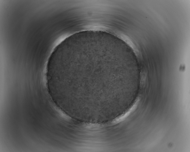 X0000102831071200808181319