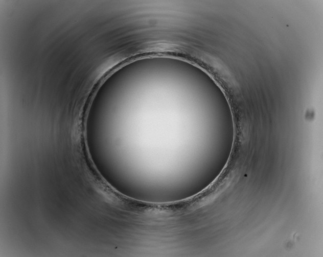 X0000102831073200808181318