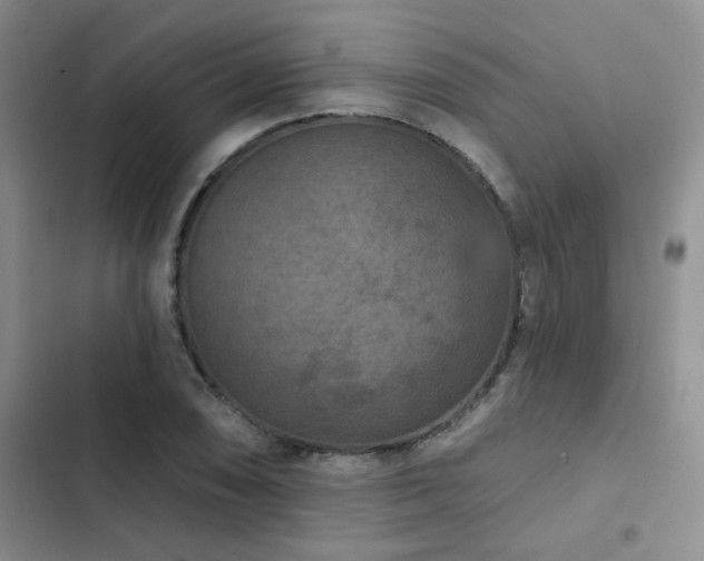 X0000102831074200808181318