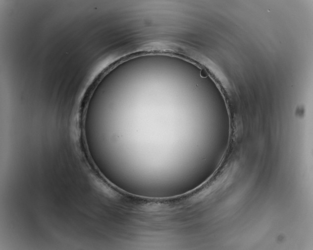 X0000102831075200808181318