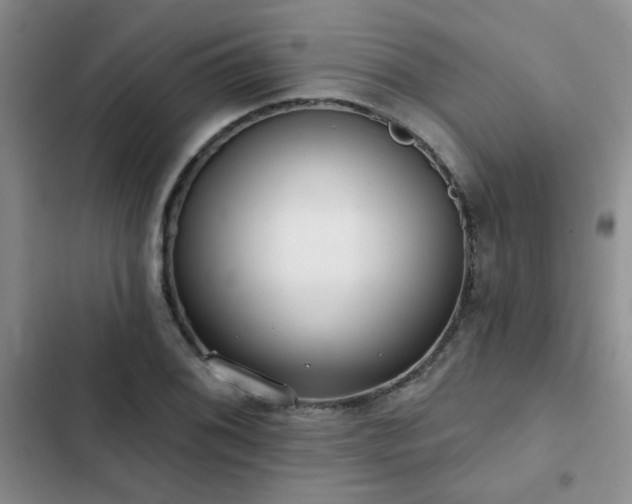 X0000102831076200808181318