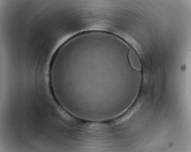 X0000102831077200808181318