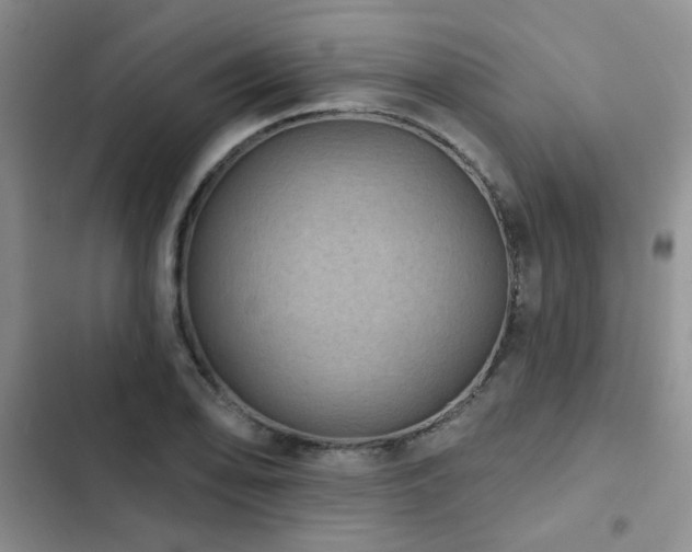 X0000102831078200808181318