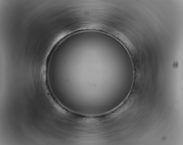 X0000102831079200808181318