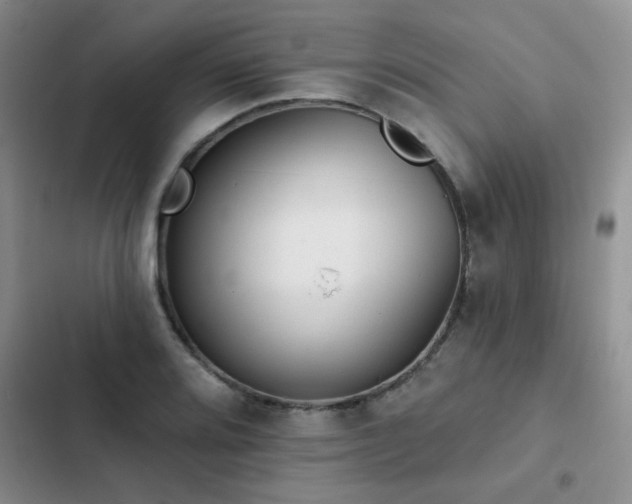 X0000102831080200808181318