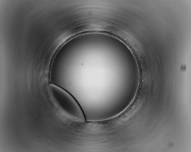 X0000102831081200808181318