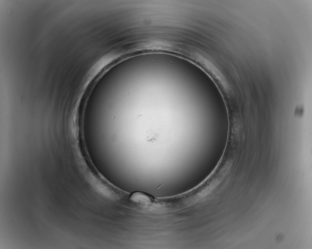 X0000102831082200808181318