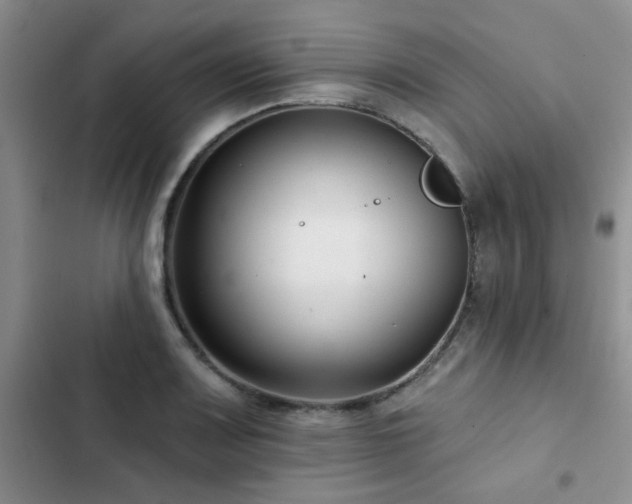 X0000102831083200808181318