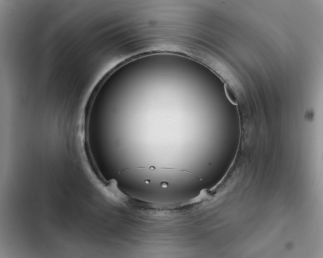 X0000102831084200808181318
