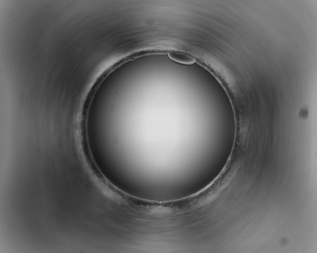 X0000102831085200808181318