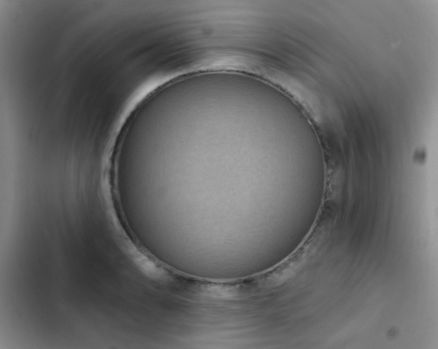 X0000102831086200808181318