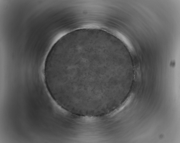 X0000102831087200808181318