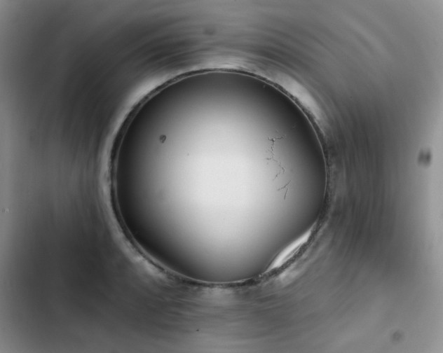 X0000102831088200808181318