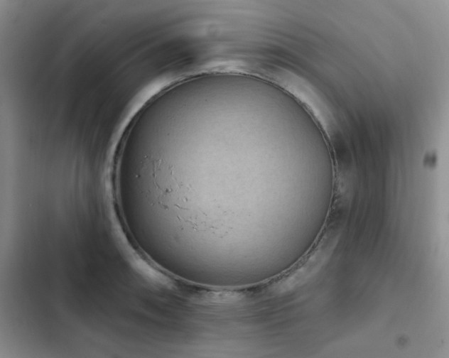 X0000102831090200808181318