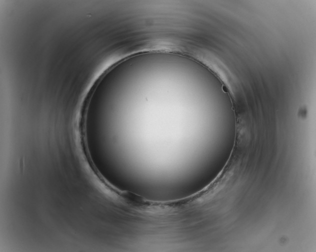 X0000102831091200808181318