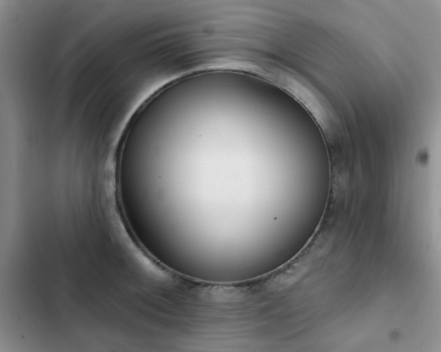 X0000102831092200808181318