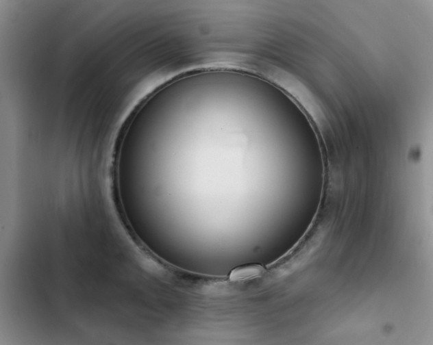 X0000102831093200808181318
