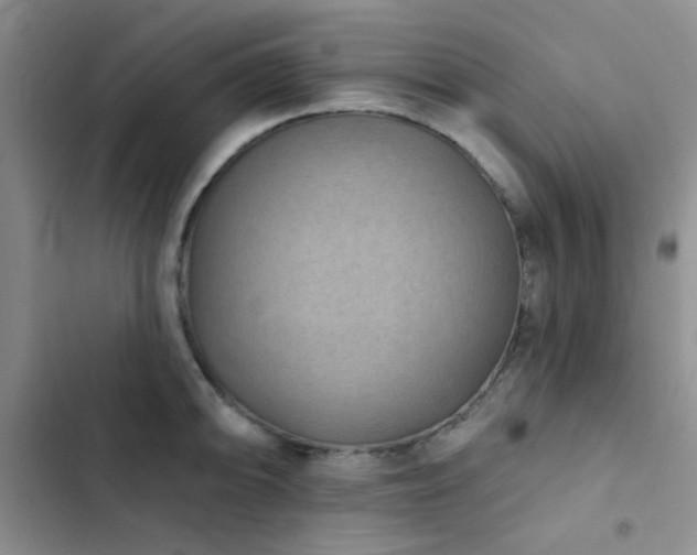 X0000102831094200808181318