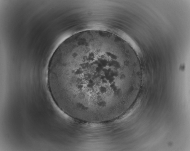 X0000102831095200808181318