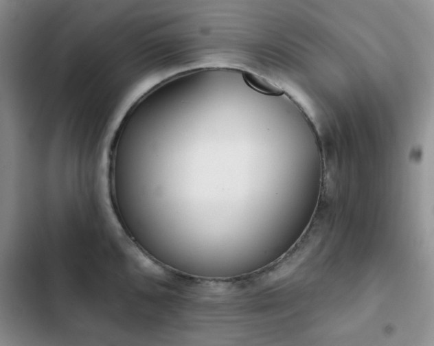X0000102831096200808181318