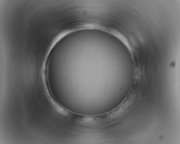 X0000102831098200808181318