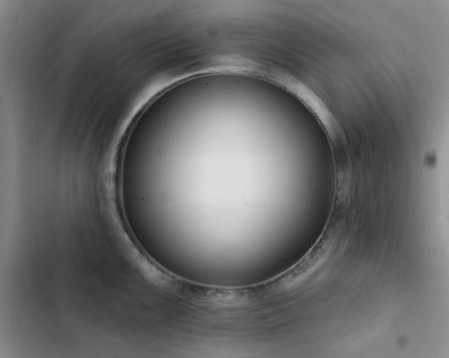 X0000102831099200808181318