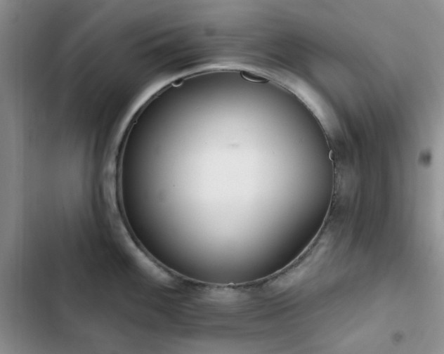 X0000102831100200808181318