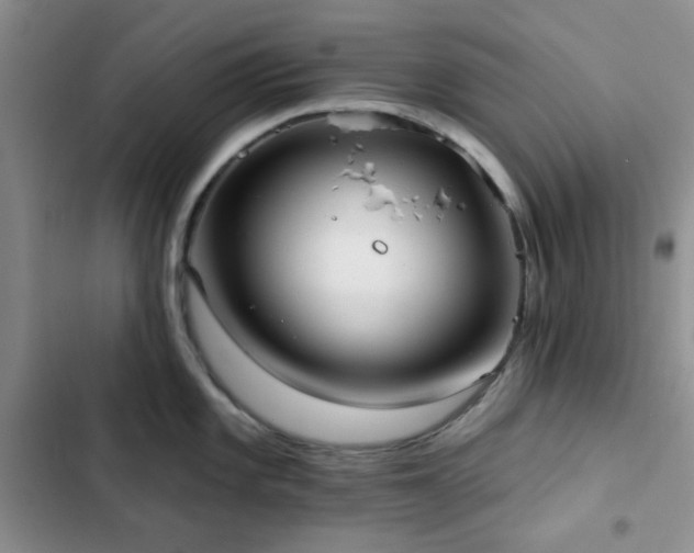 X0000102831101200808181318