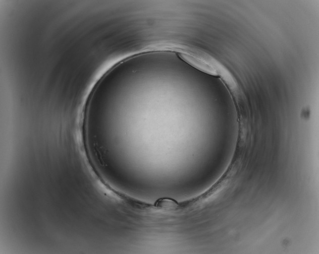 X0000102831102200808181318