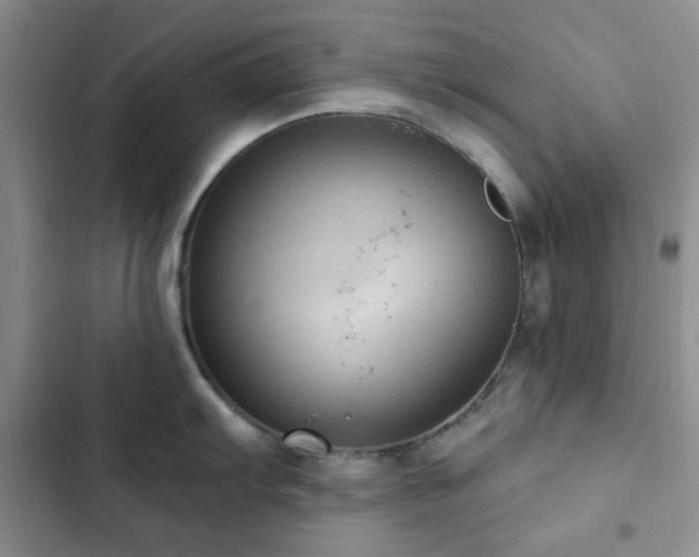 X0000102831103200808181318