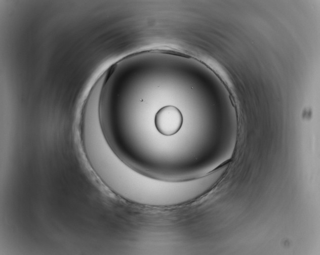 X0000102831104200808181318