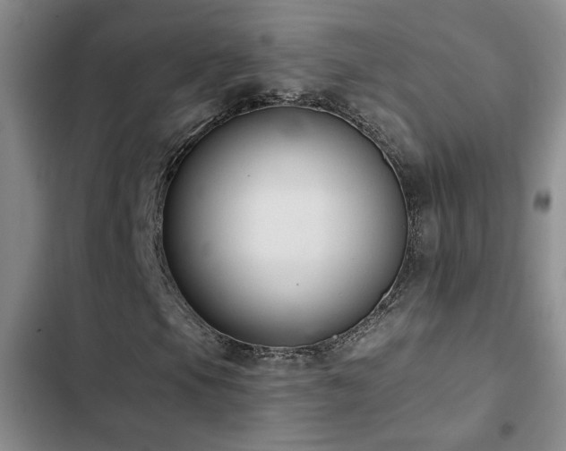 X0000102831105200808181317