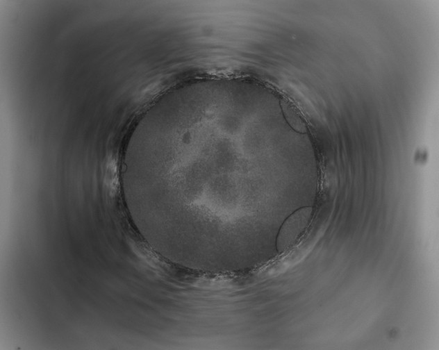X0000102831106200808181317