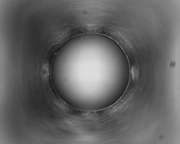 X0000102831107200808181317