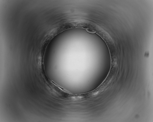 X0000102831108200808181317