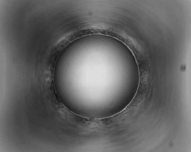 X0000102831110200808181317