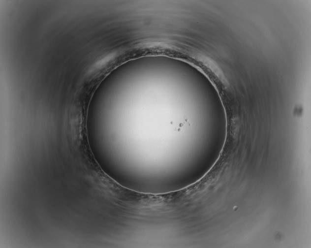 X0000102831111200808181317