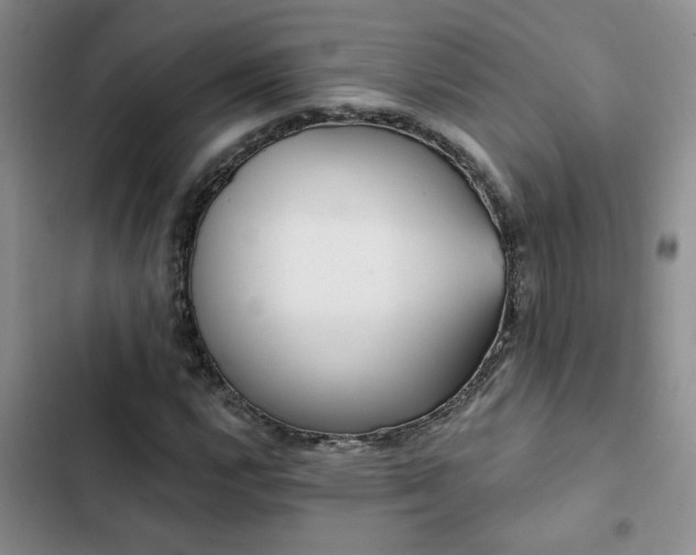 X0000102831112200808181317