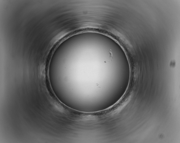 X0000102831113200808181317