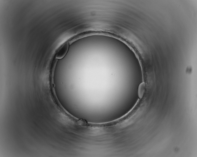 X0000102831114200808181317