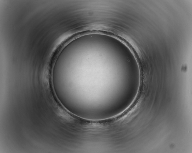 X0000102831115200808181317