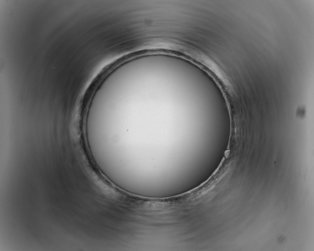 X0000102831116200808181317