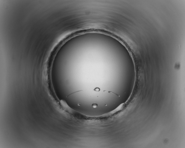 X0000102831118200808181317