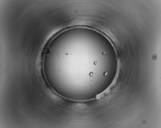 X0000102831119200808181317
