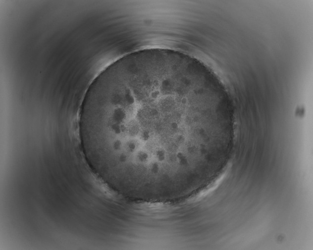X0000102831121200808181317