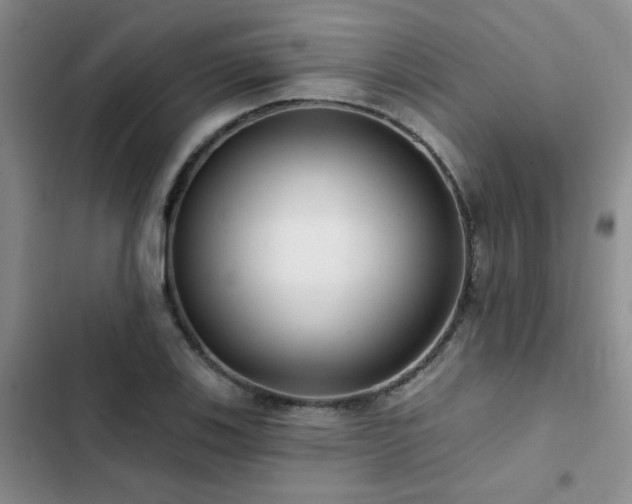 X0000102831123200808181317