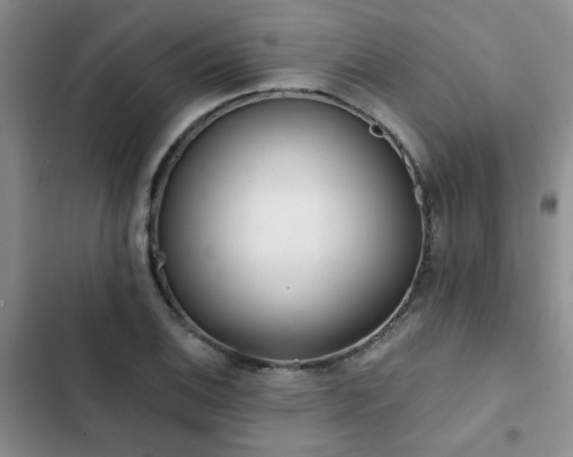 X0000102831124200808181317
