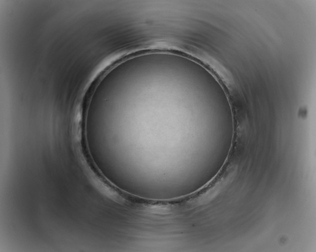 X0000102831126200808181317