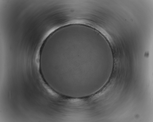 X0000102831127200808181317